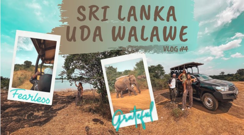 SRI LANKA TRIP  -  VLOG #4 UDA WALAWE