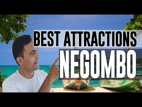 Best Attractions and Places to See in Negombo, Sri Lanka